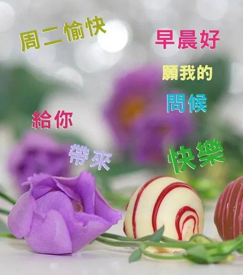 朋友珍重的图片